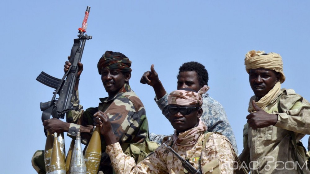 Niger: 123 Boko Haram et 14 soldats tués en trois mois à  Diffa