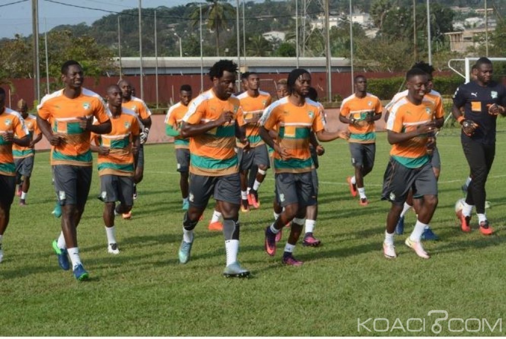 Côte d'Ivoire: Éliminatoires Mondial 2018, 3 joueurs clés du Mali forfaits, aux éléphants d'en profiter