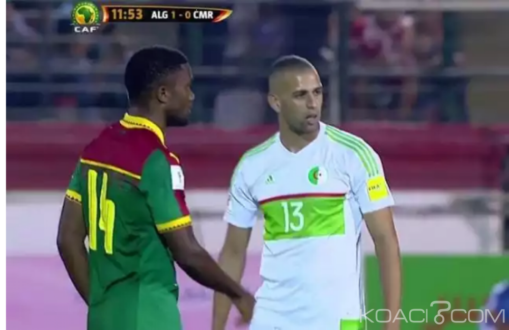 Cameroun: Éliminatoires mondial Russie 2018, les Lions tiennent en échec l'Algérie à  Blida (1 à  1)