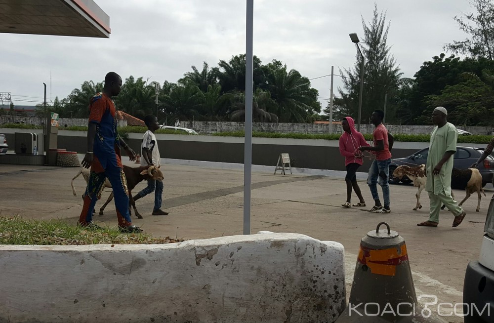 Côte d'Ivoire: Attécoubé, un homme se pend dans sa chambre