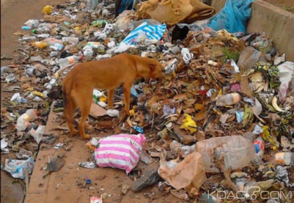 Cameroun: Insalubrité à  Yaoundé, les ordures ménagères  envahissent chaussées et trottoirs