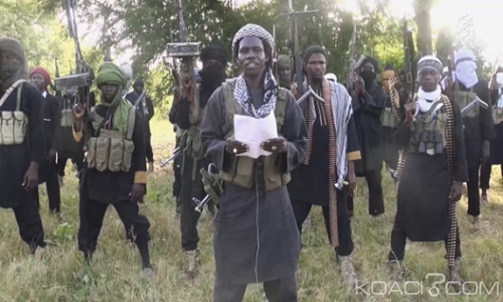 Nigeria: 20  soldats  auraient été tués  par des hommes d' al Barnawi dans le nord est