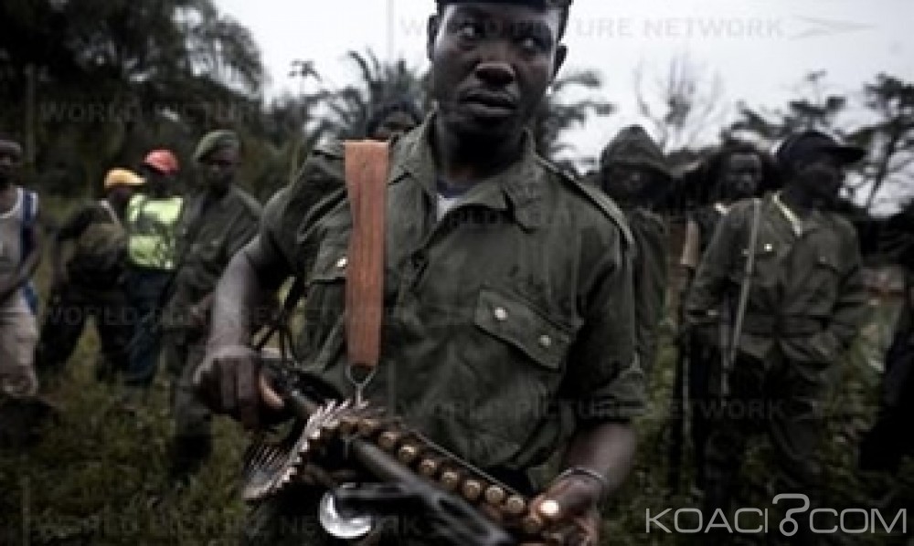 RDC:  Un haut commandant des FDLR tombe aux  mains de l'armée