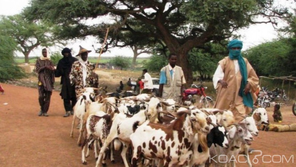 Niger:  18 morts et 43 blessés dans une bagarre entre agriculteurs et éleveurs