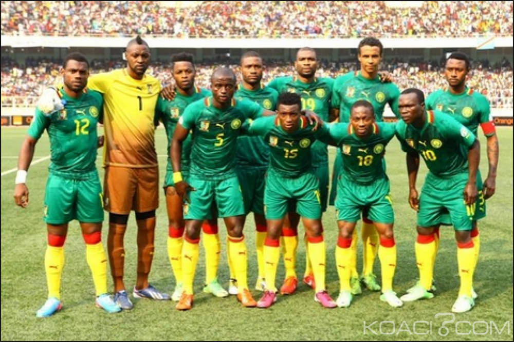 Cameroun: Eliminatoires mondial de football Russie 2018, la liste des 23 lions contre la Zambie