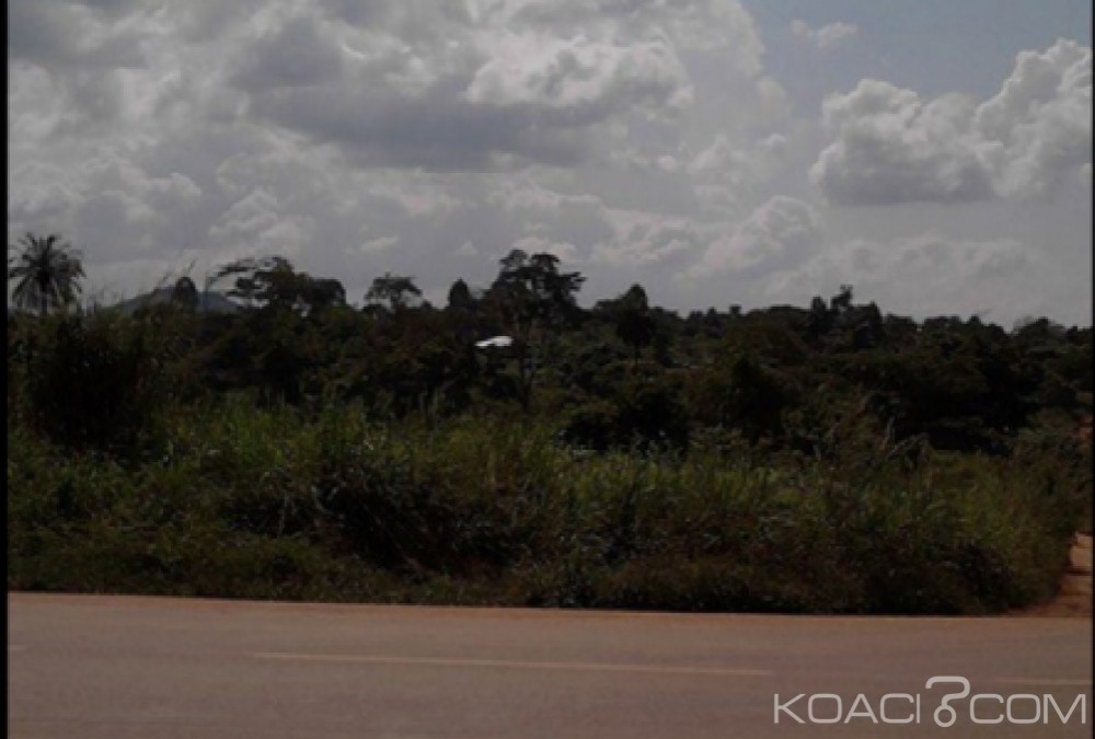 Cameroun: 9 morts et 1 blessé dans un grave accident de la circulation sur la  route nationale numéro 2