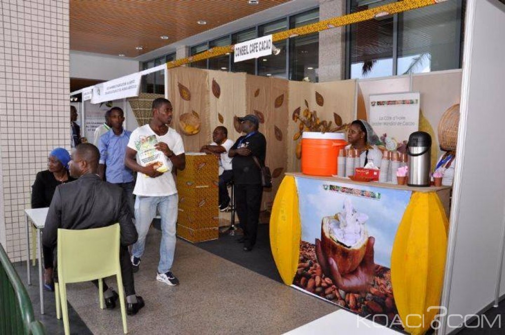 Côte d'Ivoire: SIETTA 2016, des Présidents de coopératives dénoncent un échec