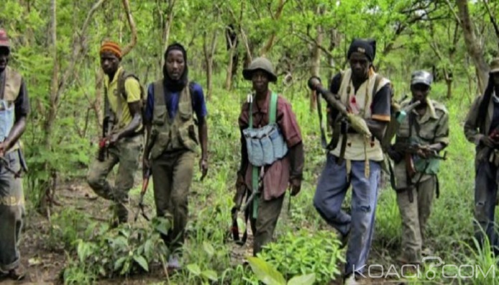 Sénégal: Les rebelles de la Casamance veulent un maintien de l'accalmie et autorisent la construction de pistes de production pour commencer