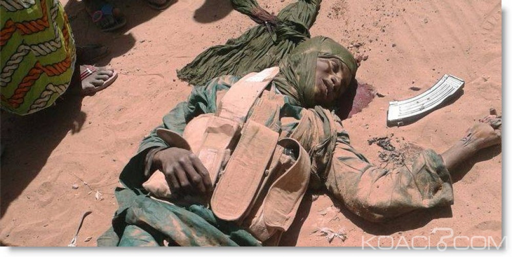 Nigeria:  30 éléments de Boko Haram abattus dans des affrontements avec l'armée