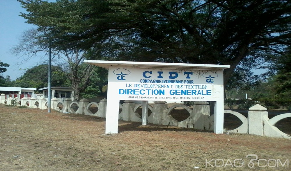 Côte d'Ivoire: Le gouvernement donne son feu vert pour la privatisation de la CIDT