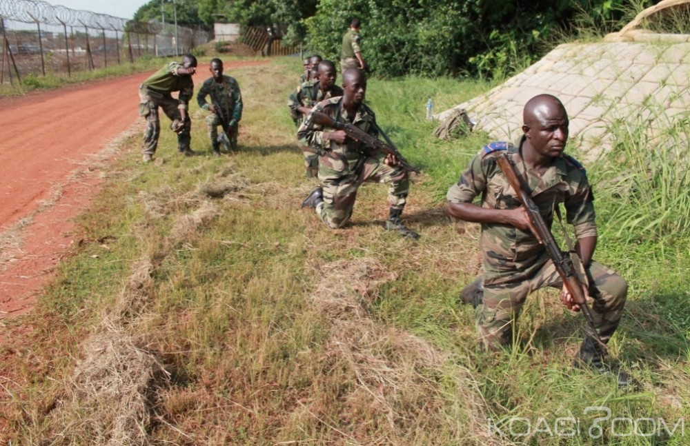Côte d'Ivoire: Professionnalisation de la fonction de militaire, l'obligation du service national supprimé