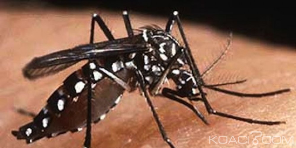 Burkina Faso: Une opération de pulvérisation spatiale à  Ouagadougou pour lutter contre la dengue