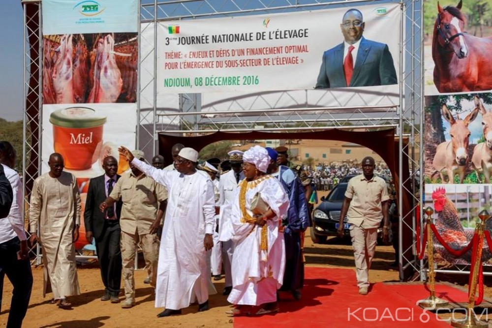 Sénégal: Un homme armé avait réussi à  infiltrer la garde rapprochée du Président Macky Sall, hier à  Ndioum
