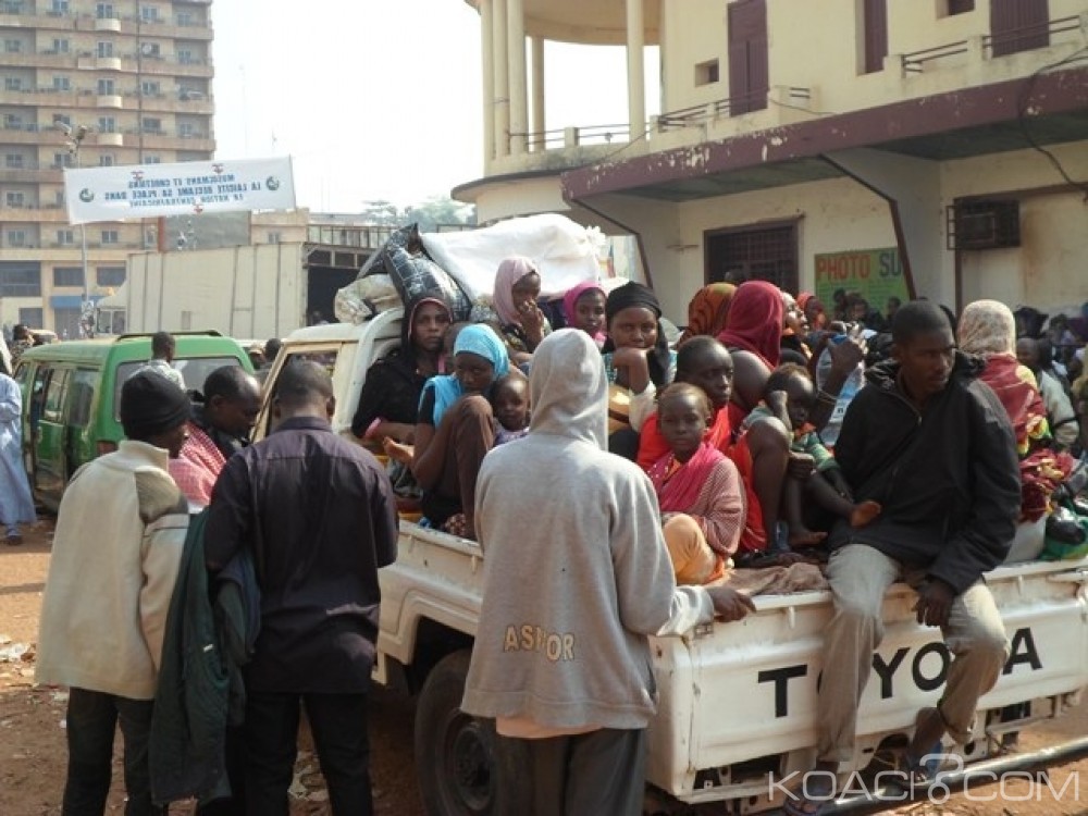 Tchad: Onze morts dans des affrontements entre éleveurs et agriculteurs