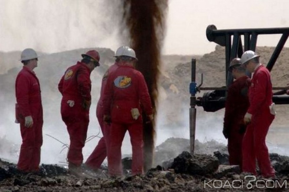 Nigeria: Du pétrole brut découvert à  Borno
