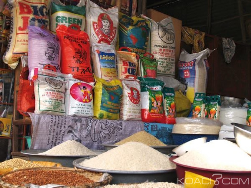 Côte d'Ivoire: Alors que le pays vise l'autosuffisance en riz, la production nationale en céréales baisse de 177000 tonnes