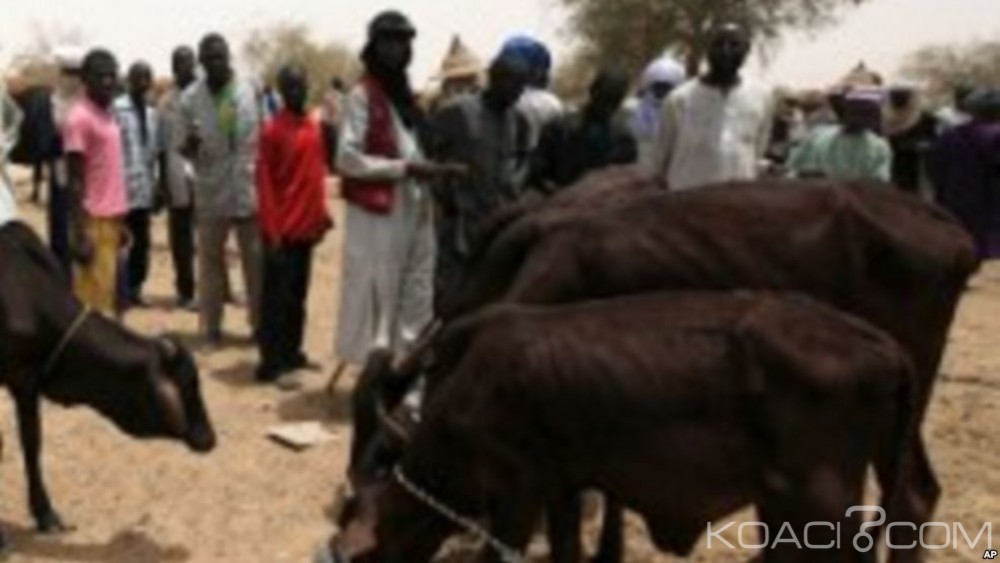 Nigeria: Des heurts entre éleveurs et agriculteurs font 6 morts dans le centre