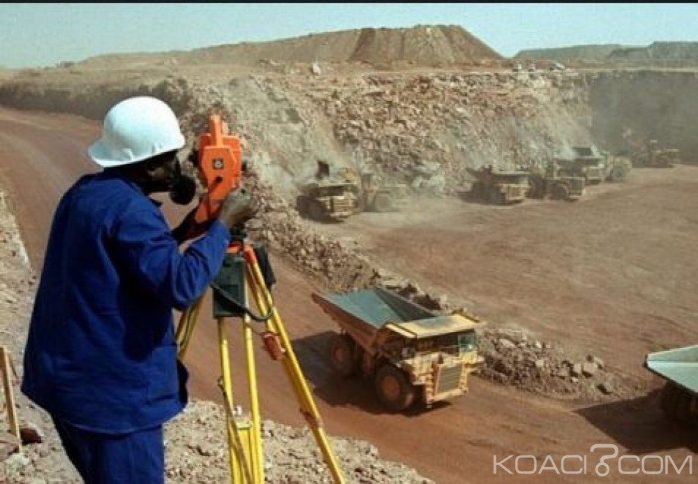 Gabon: Ali Bongo salue l'importante avancée scientifique induite par les derniers travaux sur le Francevillien