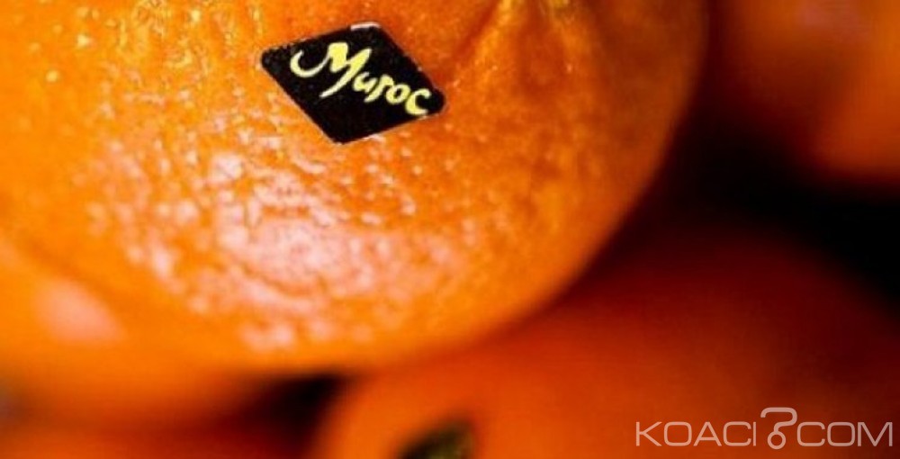 Koacinaute: Verdict  de la Cour Européenne de Justice : un froid sibérien s'est abattu sur le polisario et son sponsor algérien.