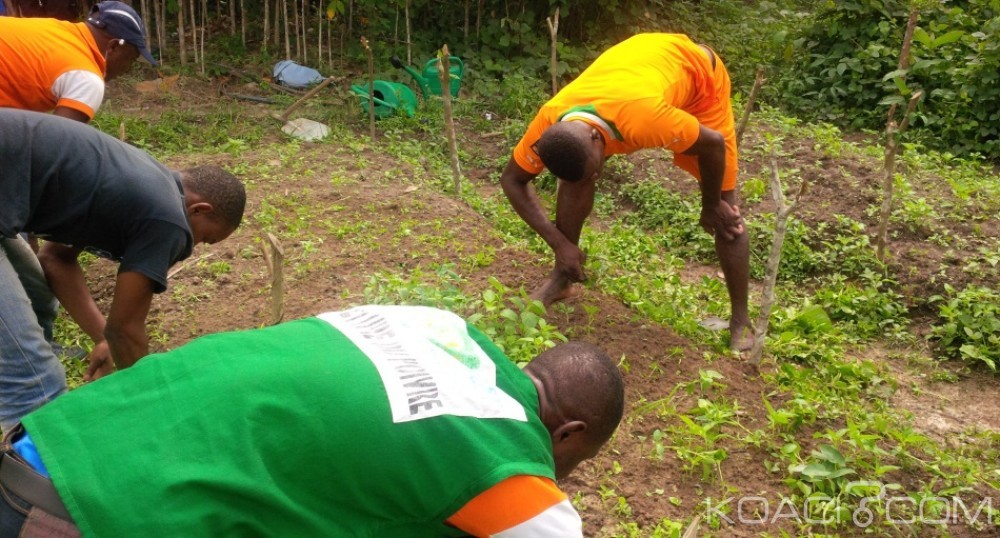 Côte d'Ivoire: Panique, suite aux résultats d'une enquête du gouvernement, MONHEVEA.COM arrête les souscriptions