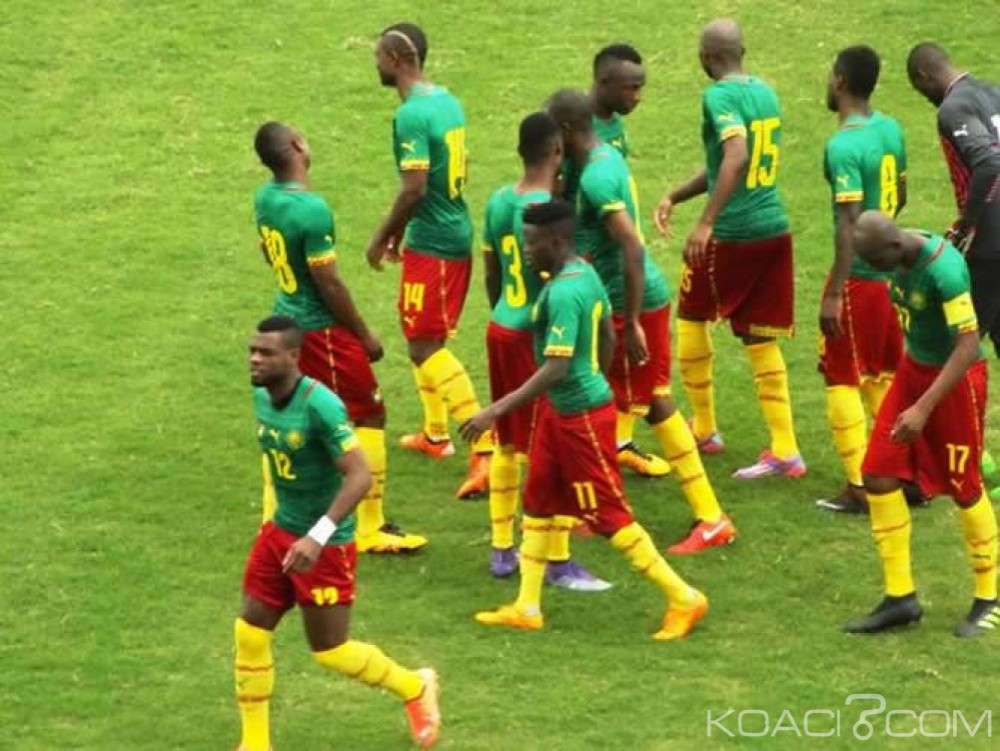 Cameroun: A  J-11 de la Can Total-Gabon 2017, les lions indomptables disputent deux matches amicaux