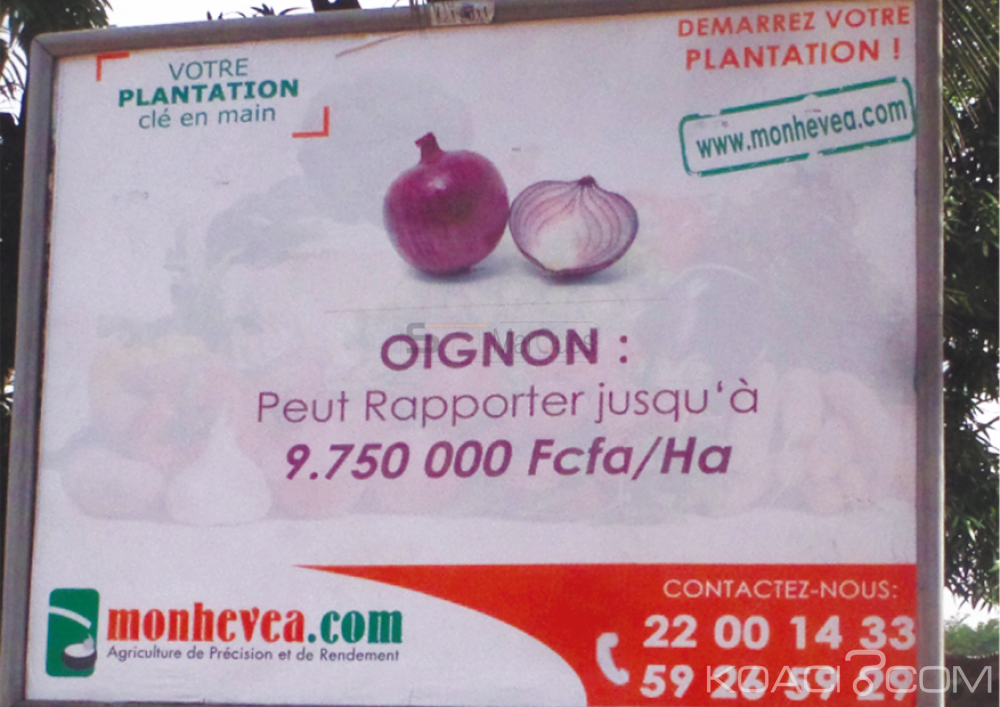 Côte d'Ivoire: «Arnaque», le Trésor Public se lance aux trousses des Agrobusiness et assimilées