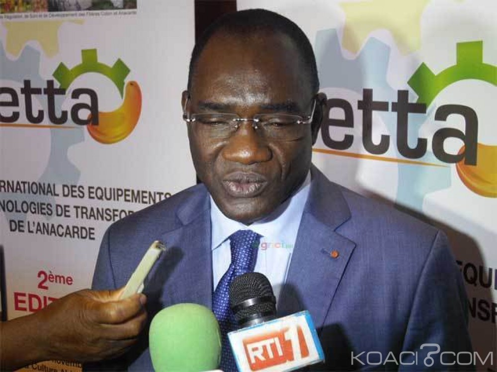 Côte d'Ivoire: Filière coton-anacarde, des acteurs exigent le départ du DG par intérim du Conseil pour mauvaise gestion, ce dernier se défend