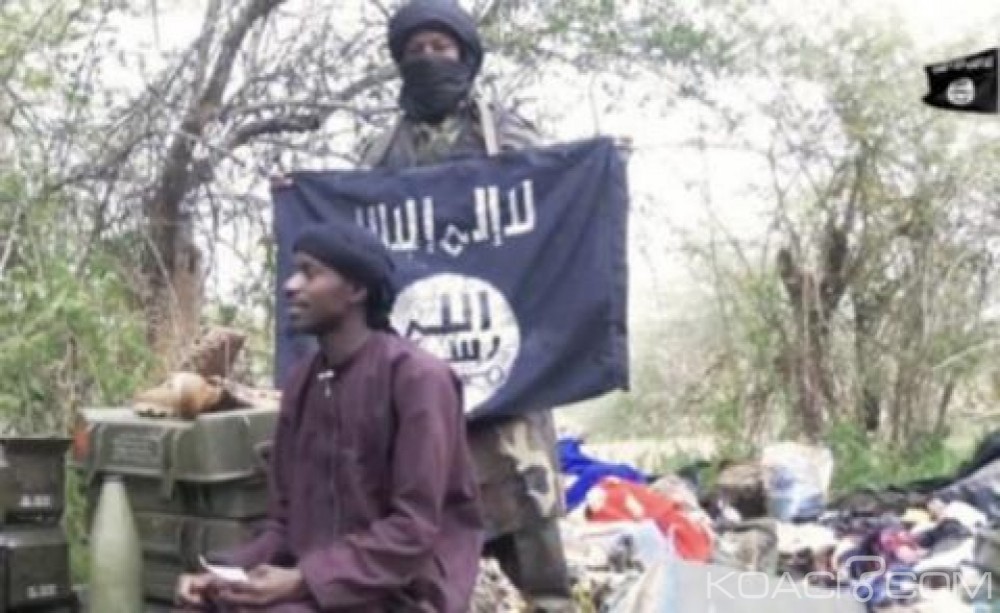 Niger:  De nouveaux membres présumés  de Boko Haram déposent les armes