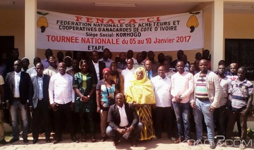 Côte d'Ivoire : Problèmes dans la filière Anacarde, la FENACA-CI  sensibilise les acheteurs de Katiola