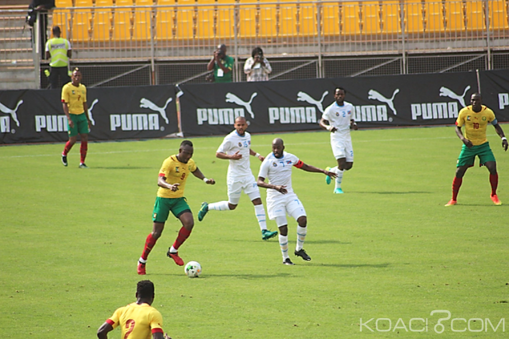 Cameroun: Les lions dominent les Léopards en match amical préparatoire pour le Can-Total Gabon 2017