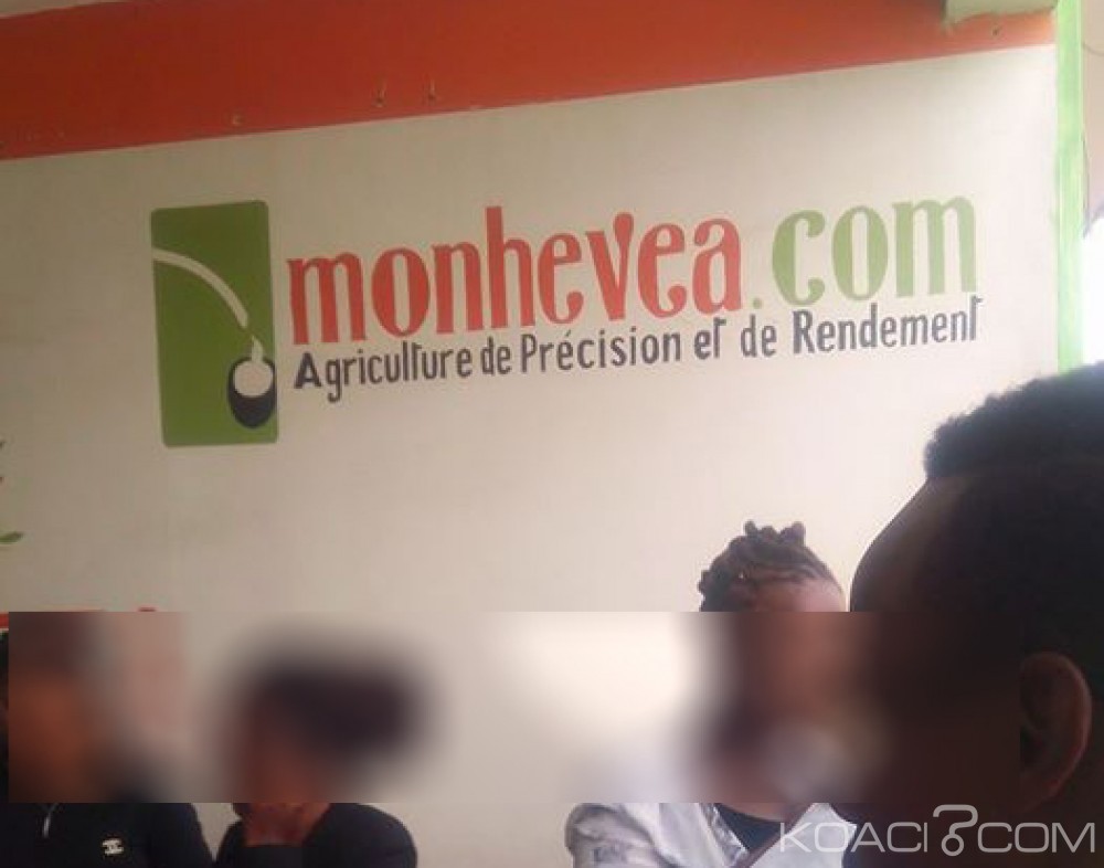 Côte d'Ivoire: Agrobusiness, le procureur ordonne la mise sous surveillance des comptes des structures