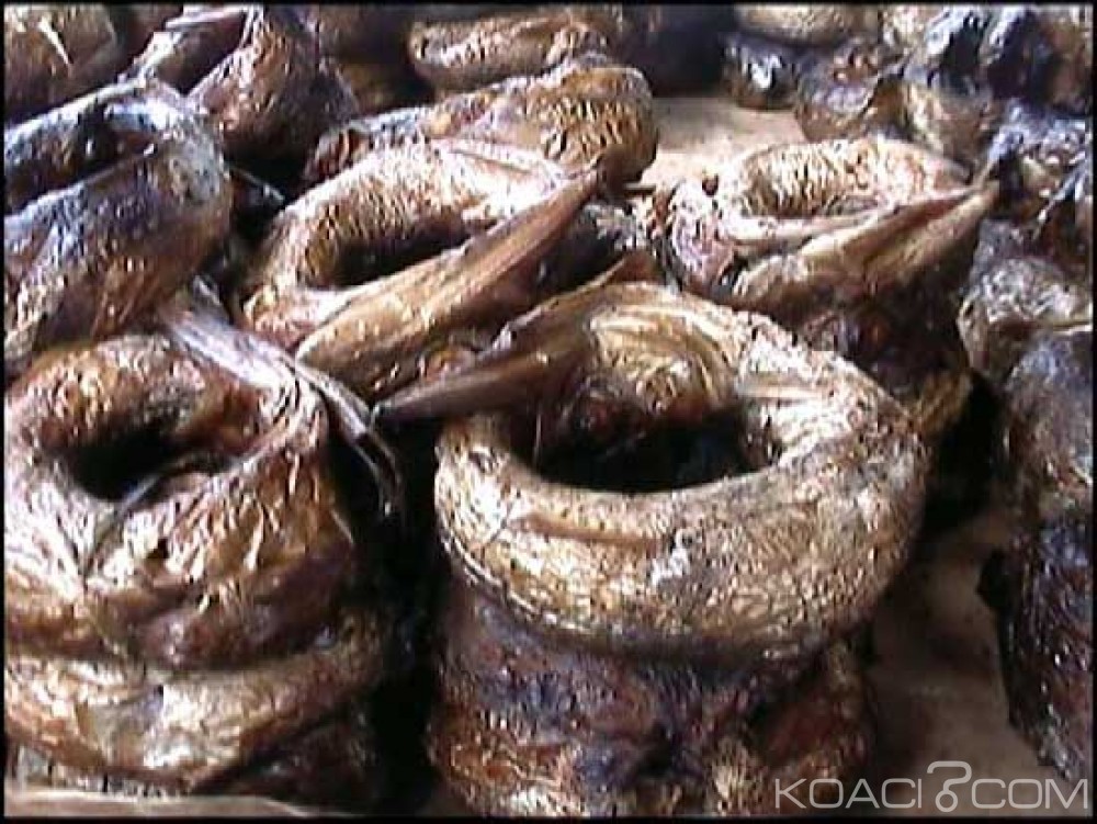Côte d'Ivoire: Abobo, une commerçante de poissons «fumés » accouche dans un marché