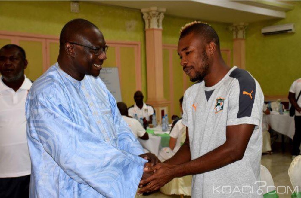 Côte d'Ivoire: CAN 2017, le ministre Amichia attend un sursaut des éléphants face à  la RDC