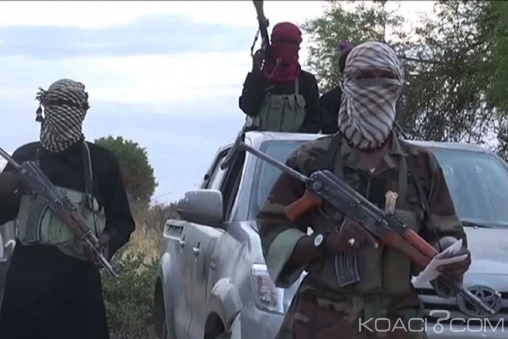 Niger: Deux soldats tués et sept blessés dans une attaque surprise près du Nigeria