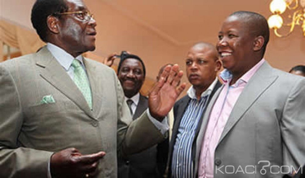 Zimbabwe: Malema salue le départ de Jammeh et appelle Mugabe à  suivre l'exemple: «Grand père , c'est assez»