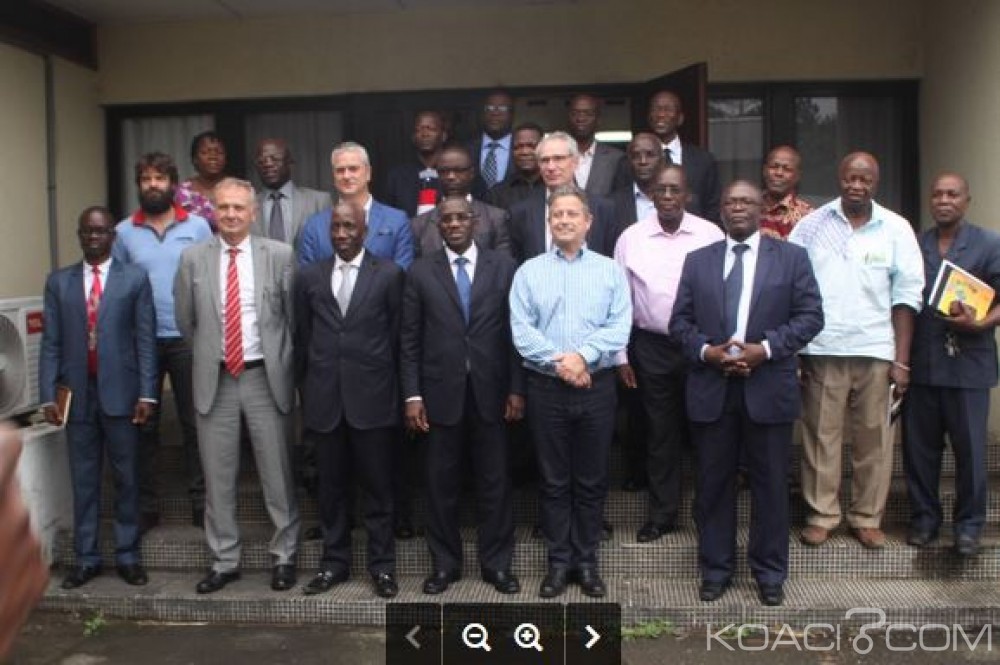 Côte d'Ivoire: Une équipe  du CIRAD dans le pays pour contribuer à  la relance de la recherche forestière