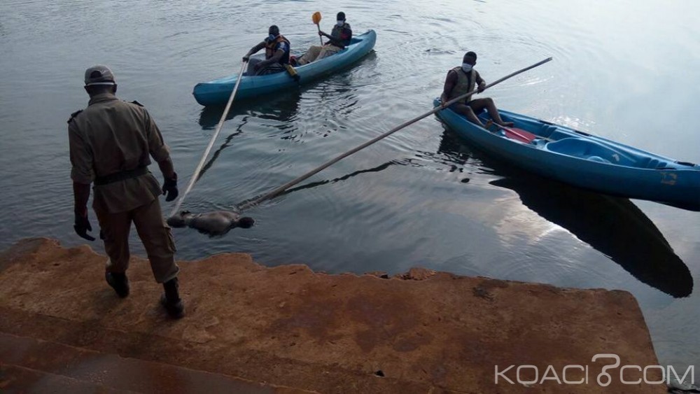 Cameroun: Dschang, une élève trouve la mort dans sa chambre, le conducteur de moto se jette dans le lac