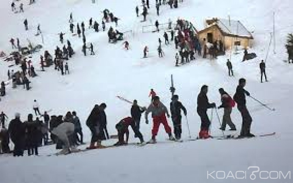 Koacinaute: Partenariat : Fond de Partenariat pour les Ecosystèmes Critiques (CEPF)-Association Marocaine pour l'Ecotourisme et la Protection de la Nature.