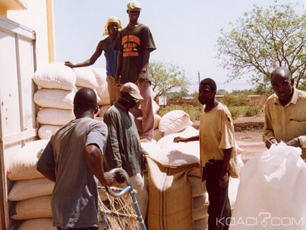 Burkina Faso: 4,705 millions de tonnes de productions céréalières attendues pour la campagne 2016-2017
