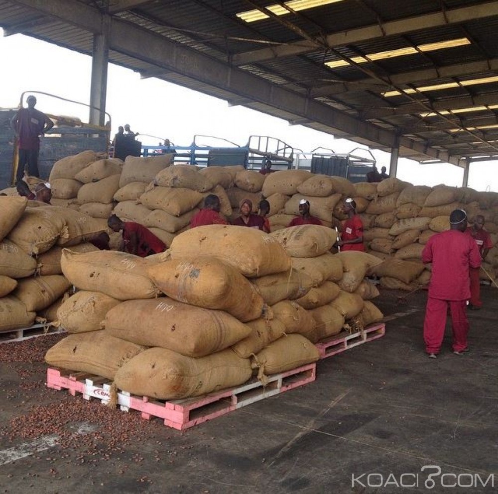 Côte d'Ivoire: Blocage du cacao dans les ports, le Gouvernement rassure qu'il n'y a pas le feu en la demeure
