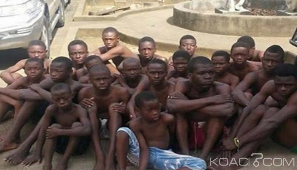 Côte d'Ivoire: Attentes Sécuritaires, «l'opération épervier 2» relancée après 195 fumoirs détruits et 10 gangsters abattus