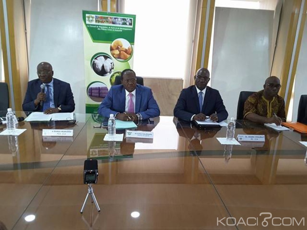 Côte d'Ivoire: Anacarde, environ 150 tonnes de noix de cajou interceptées à  la frontière du Ghana avant l'ouverture de la campagne