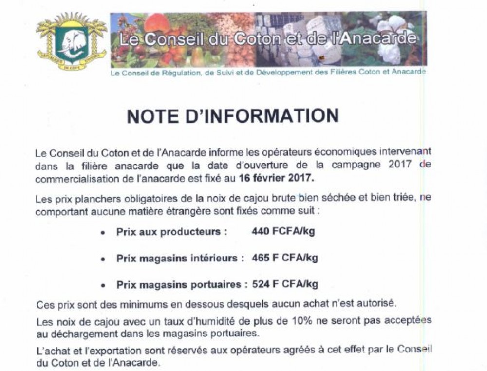 Côte d'Ivoire:  Anacarde, différents prix annoncés par le Gouvernement et le Conseil coton anacarde pour une même campagne commerciale