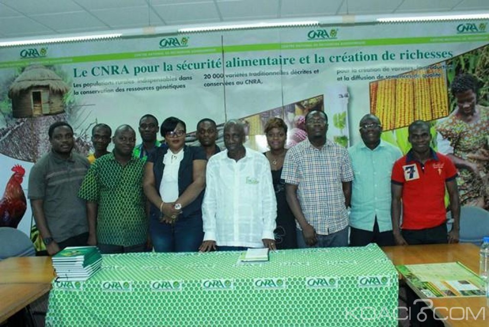 Côte d'Ivoire: Le CNRA sollicite plus de financements de l'Etat pour maintenir sa performance