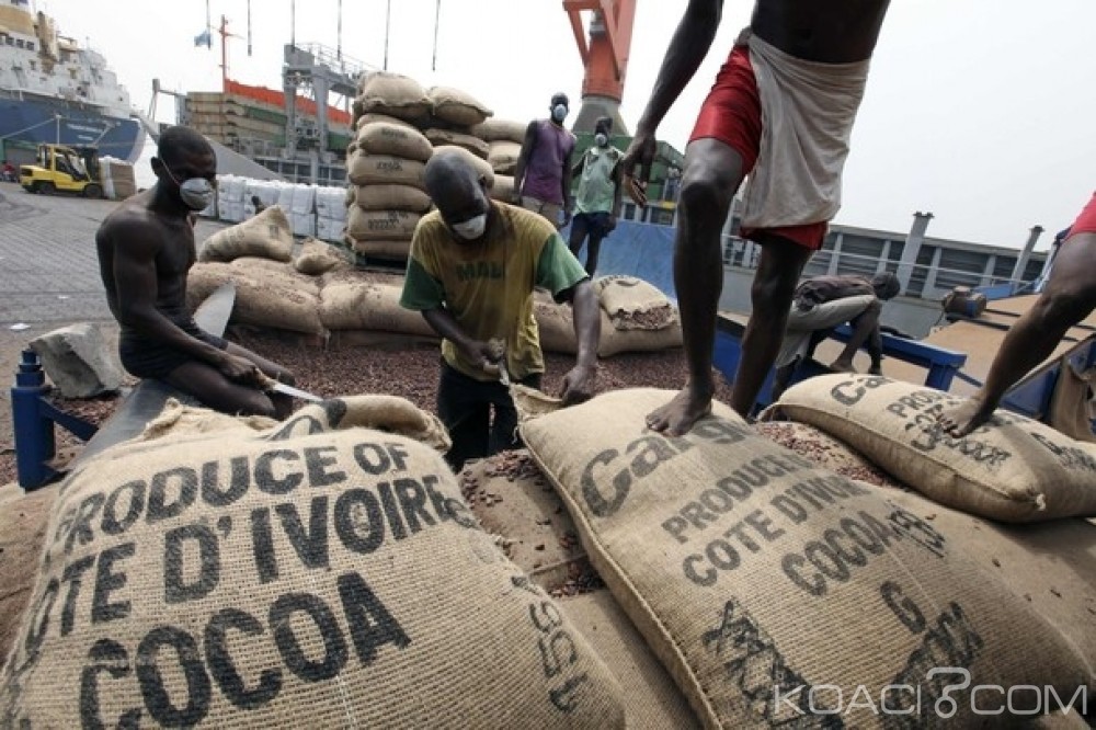 Côte d'Ivoire: Crise du cacao, le gouvernement donne les raisons et prend des mesures pour un retour à  la  normalisation
