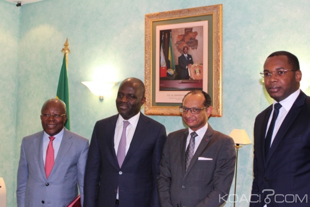 Gabon: 300.000 dollars accordés au Gabon par le Fonds vert pour le climat