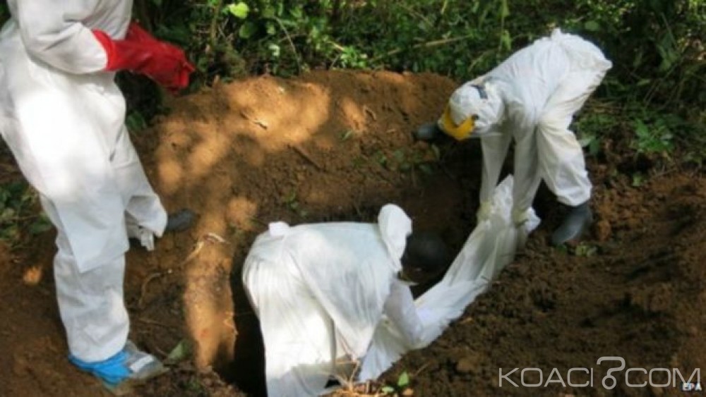 Bénin: La fièvre hémorragique Lassa, virus cousin d'Ebola fait deux morts