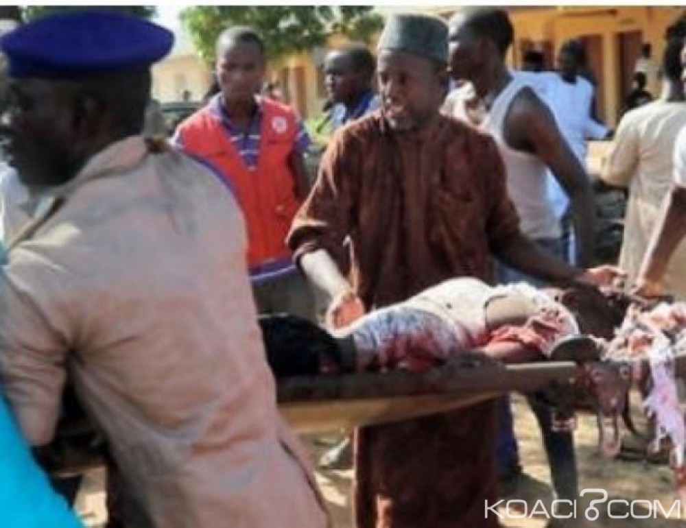 Nigeria: Trois kamikazes  se tuent  près de Maiduguri