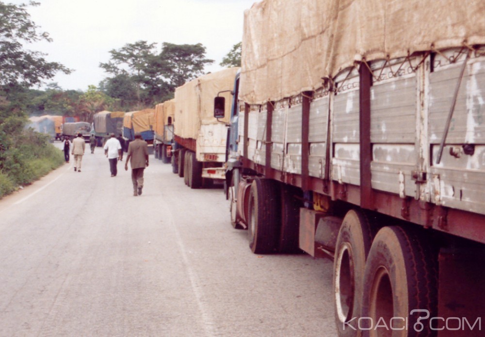 Côte d'Ivoire: Ferkéssédougou, 122 millions de noix de cajou interceptées par la douane en une semaine