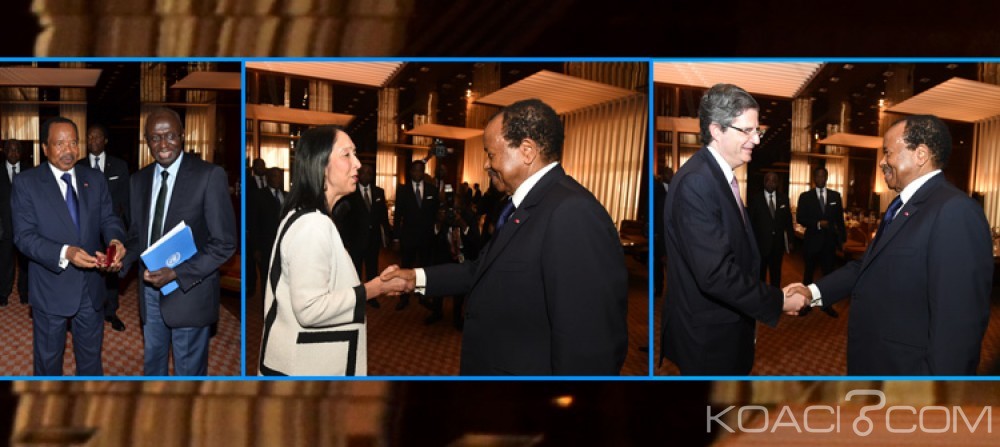 Cameroun: Le conseil de sécurité de l'Onu félicite  le Cameroun pour son engagement contre Boko Haram et la gestion des réfugiés